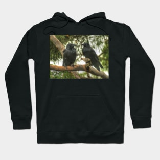 Crows At A Branch Meeting Hoodie